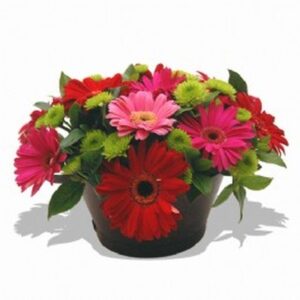 Joyful Candy Burst Bucket