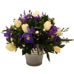 Singular Elegance Bucket