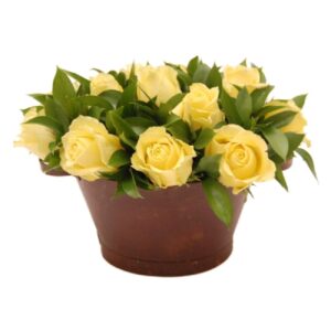 Zesty Citrus Bloom Bucket